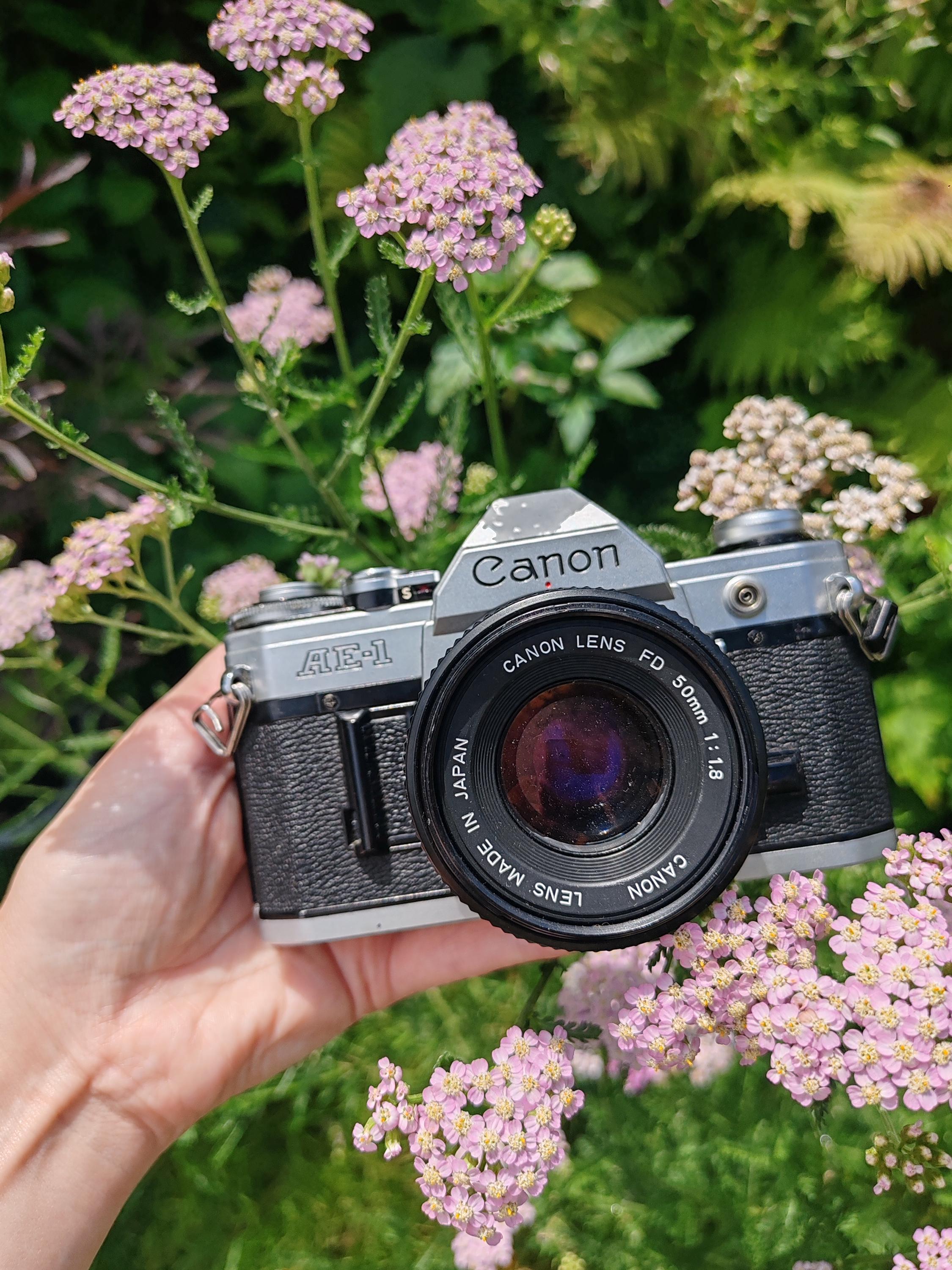 Canon AE-1 35mm一眼レフフィルムカメラ（50mmレンズ付き） – フィルム
