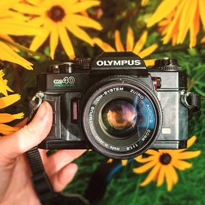 オリンパス Olympus OM-2 + 50mm F1.8 Exc+5] Olympus OM-2 silver 35mm Film Camera F.Zuiko Auto-S