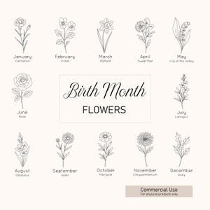 Birth Month Flower Line Art Bundle: Floral SVG PNG PDF (Digital Download)