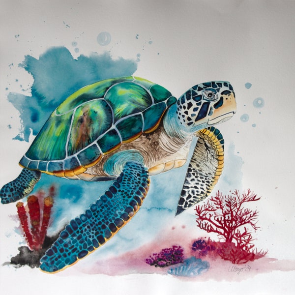 Wandbild Kunstdruck Schildkröte Meer Riff