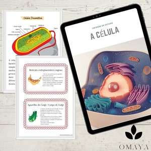 A Célula - Matéria das Células, 7.º ano, fichas ciências 7.º ano
