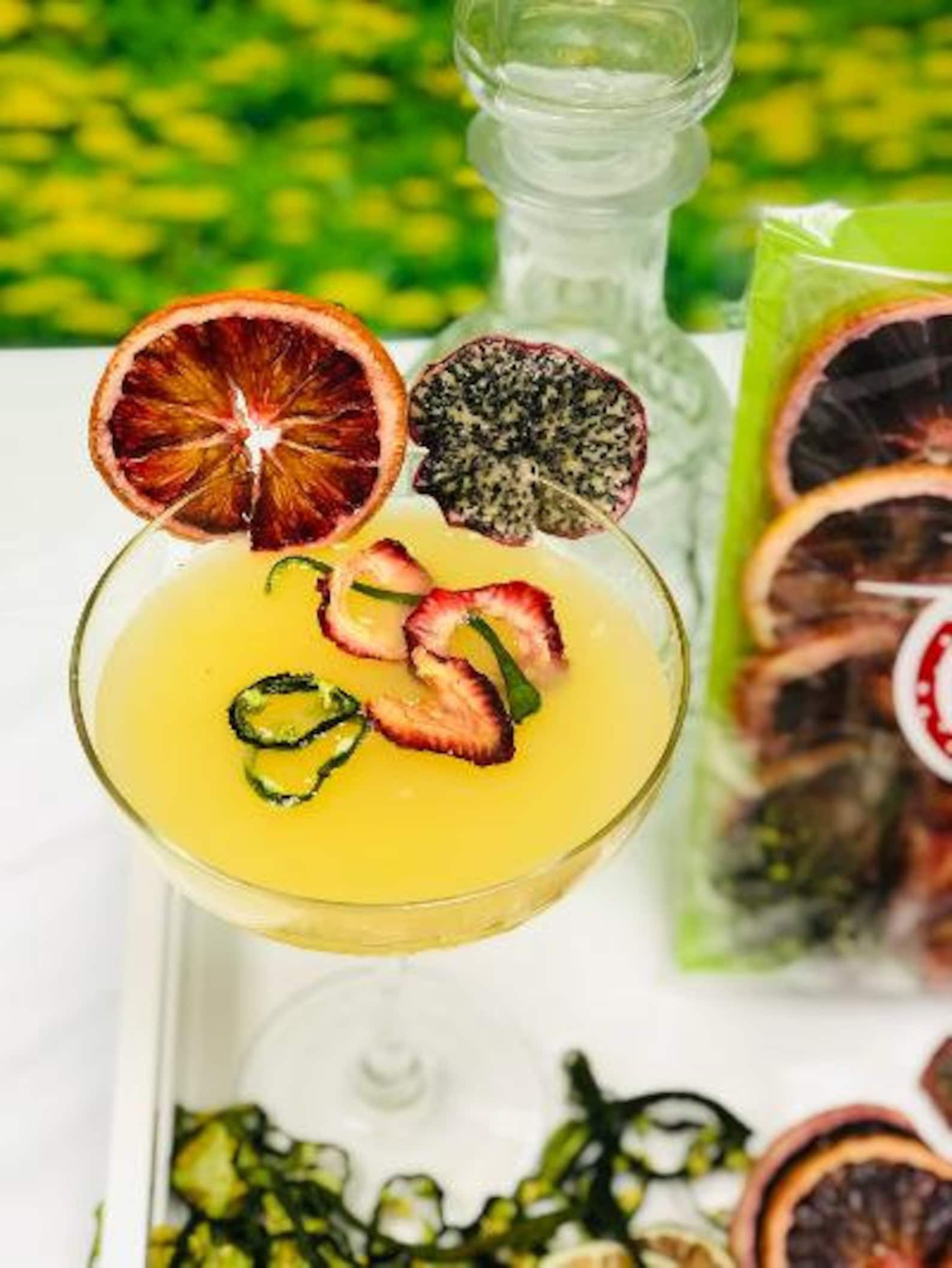 25 Piece Dried Fruit Cocktail Garnish Dragon Fruit Blood Etsy