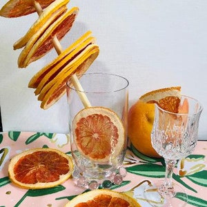 Dehydrated Grapefruit Slices Cocktail Garnish Tea Water Infusion Healthy Snack Chips Cooking & Crafting