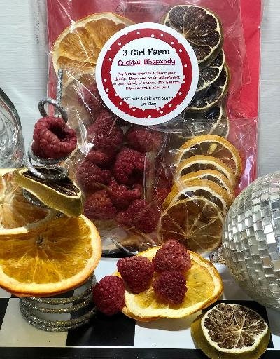 25 Piece Dehydrated Fruit Cocktail Garnish Organic Oranges, Lemons, Limes &  Raspberries Holiday Gifts Fun for Friends infusion Aromatic 