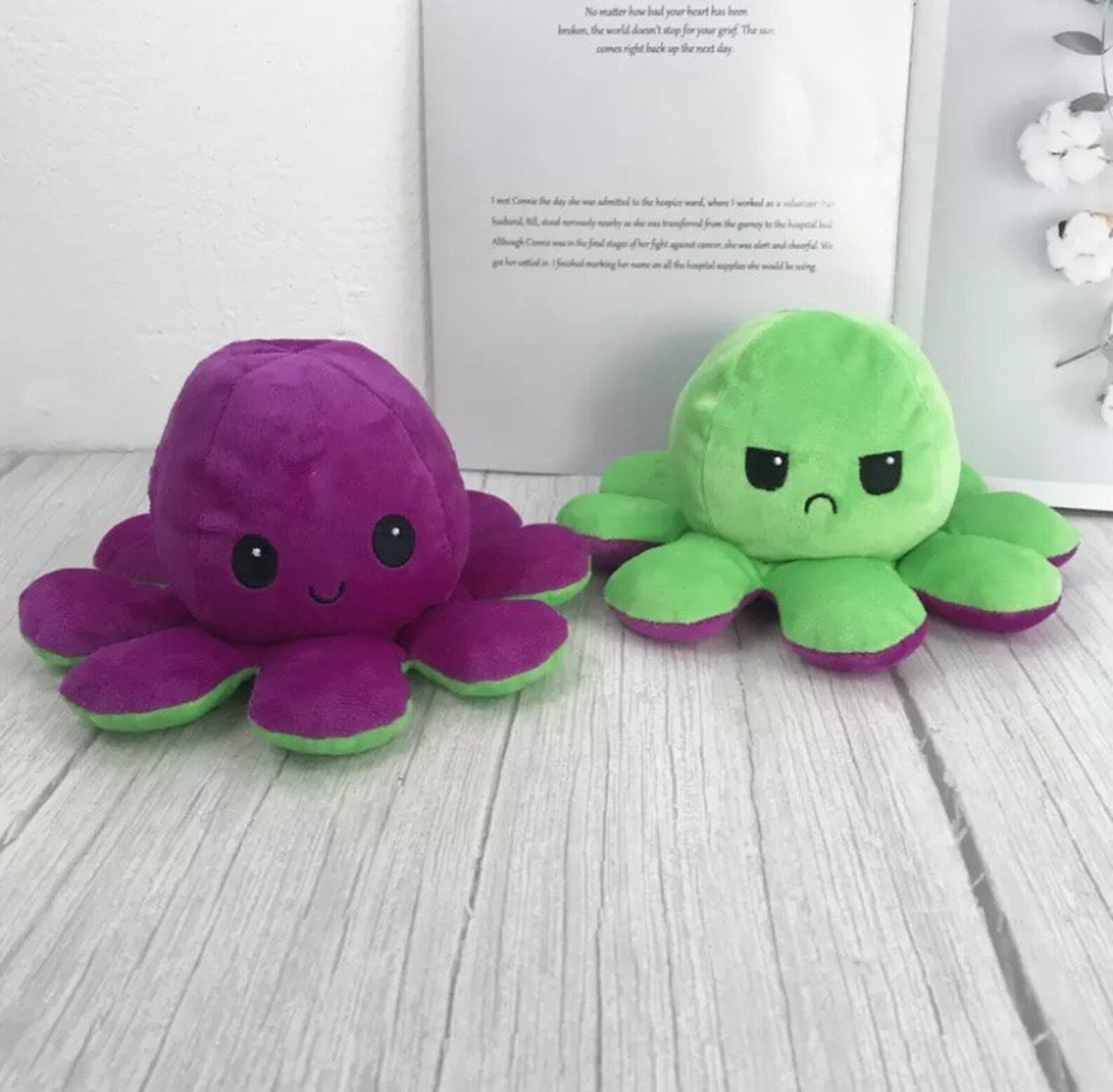 flip octopus teddy