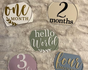 Baby Milestone Milestone Cards|Acrylic Milestone Circles|Calligraphy| Milestone Cards|Newborn|Baby Monthly Updates|12Month Baby Announcement