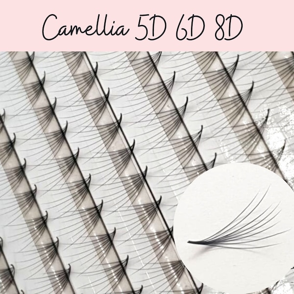 Camellia Promade Fans 5D 6D 8D C Mix-500 Fans/Box. Premade Fans Handemade Fans Mink Lash Eyelash Extension Lash Fans Russian Volume Fans