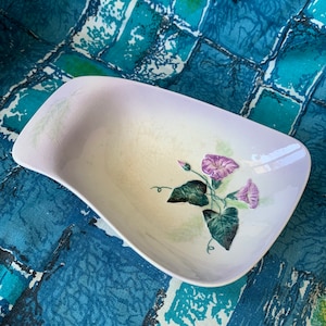 Carlton Ware bowl dish hand painted ceramic with flower and feather design