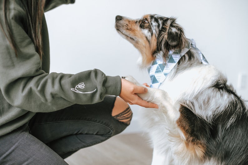 May include: A person wearing a dark green sweatshirt with a white floral design on the sleeve is interacting with a tri-colored Australian Shepherd dog wearing a blue and white geometric patterned bandana.