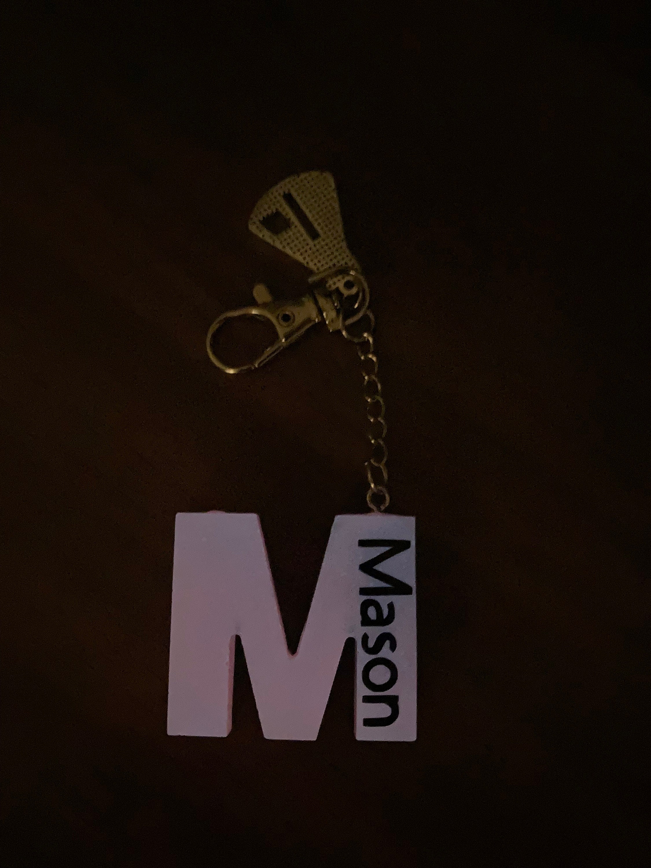 Forensic Science Personalized Letter Keychain Forensic Psychology Gift