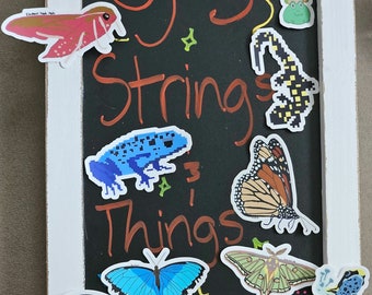 Stickers - Assorted Wildlife Themed Stickers - Water Resistant - UV Redistant - Butterflies, Moths, and Frogs