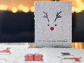 Set of 10 Plantable Christmas Cards with Envelopes- Handmade Seed Paper Assorted Holiday Cards - Eco-Friendly Holiday Cards- Gift Tags