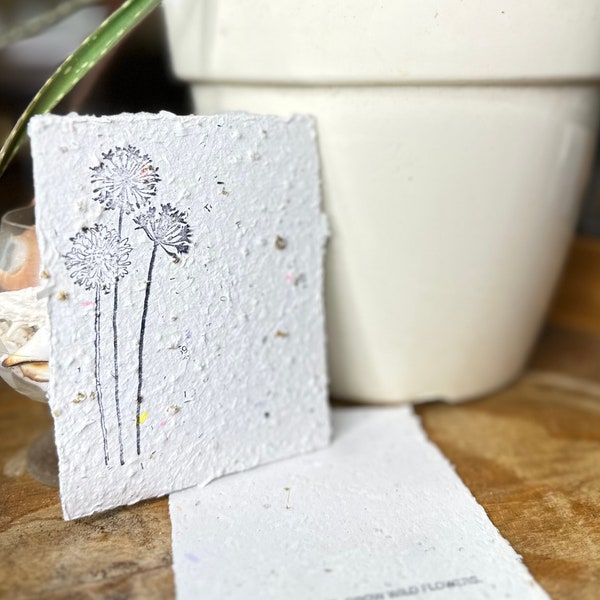 Plantable Thank You Cards – Set of 10 Handmade Seed Paper Notes with Envelopes