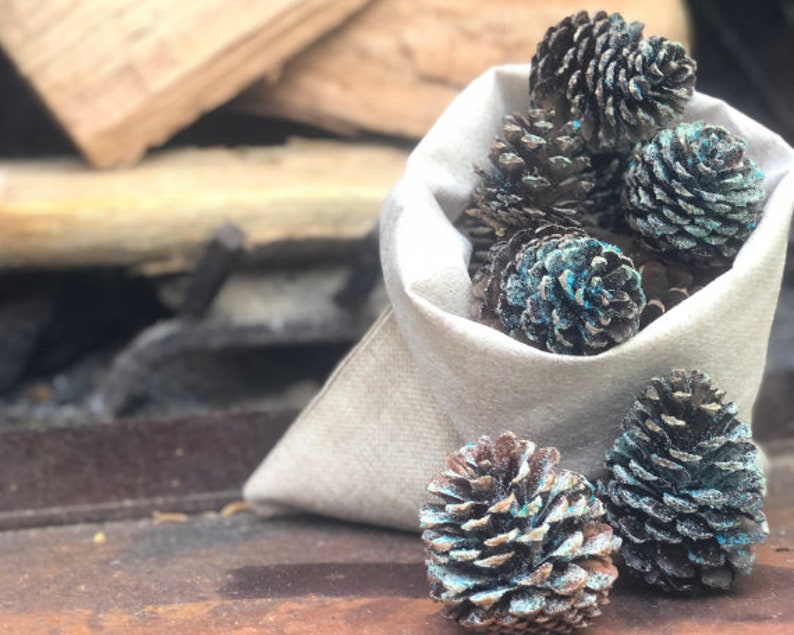 Fire Color Changing Pine Cones Rainbow Magic Flames Fire Etsy
