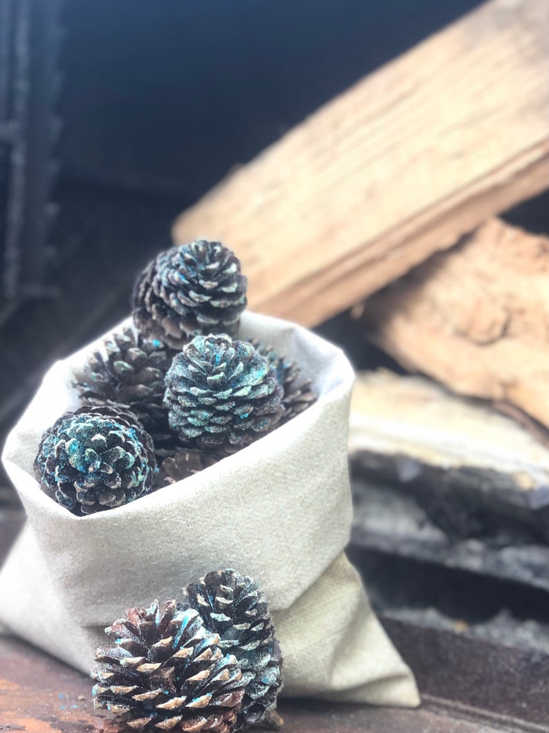 Fire Color Changing Pine Cones Rainbow Magic Flames Fire Etsy