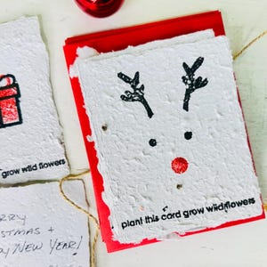 Juego de 10 tarjetas de felicitación navideñas de papel con semillas y sobres - Tarjetas navideñas plantables