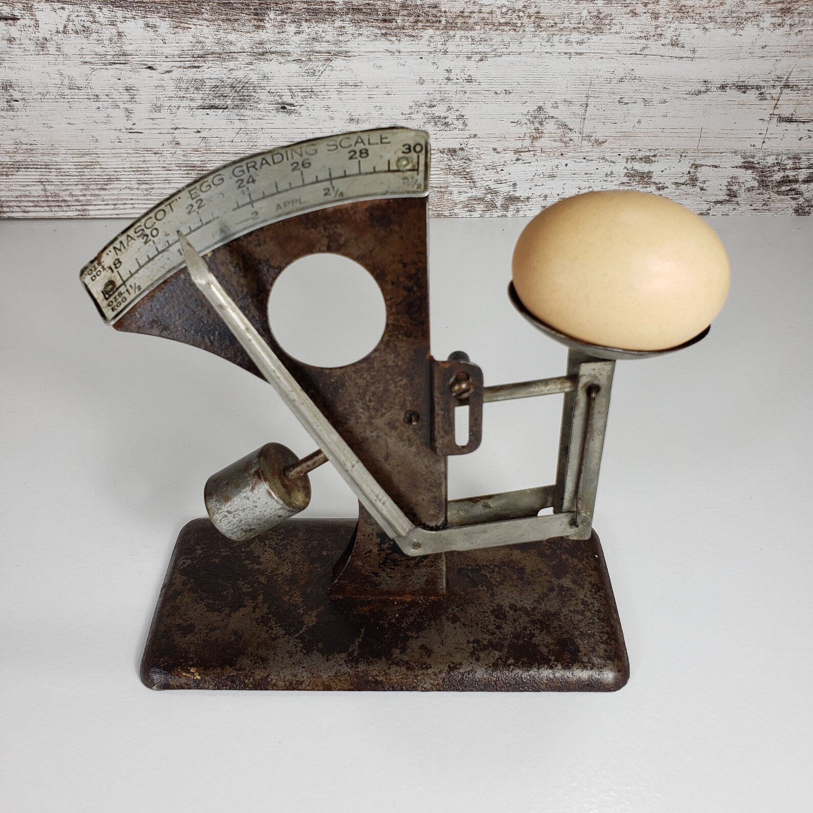 Mascot Egg Grading Scale Antique Egg Scale Primitive And Etsy