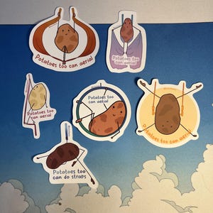 Adesivo Aerial Potatoes Confezione da 6 / Vinile impermeabile / Opzione olografica / Motivazionale / Ottimo regalo per gli acrobati