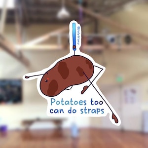 Adesivo per patate Aerial Straps / Vinile impermeabile / Opzione olografica / Motivazionale / Ottimo regalo per gli acrobati