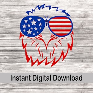 American Flag Eagle with Sunglasses svg, 4th of July clipart, Patriotic png, Digital Download