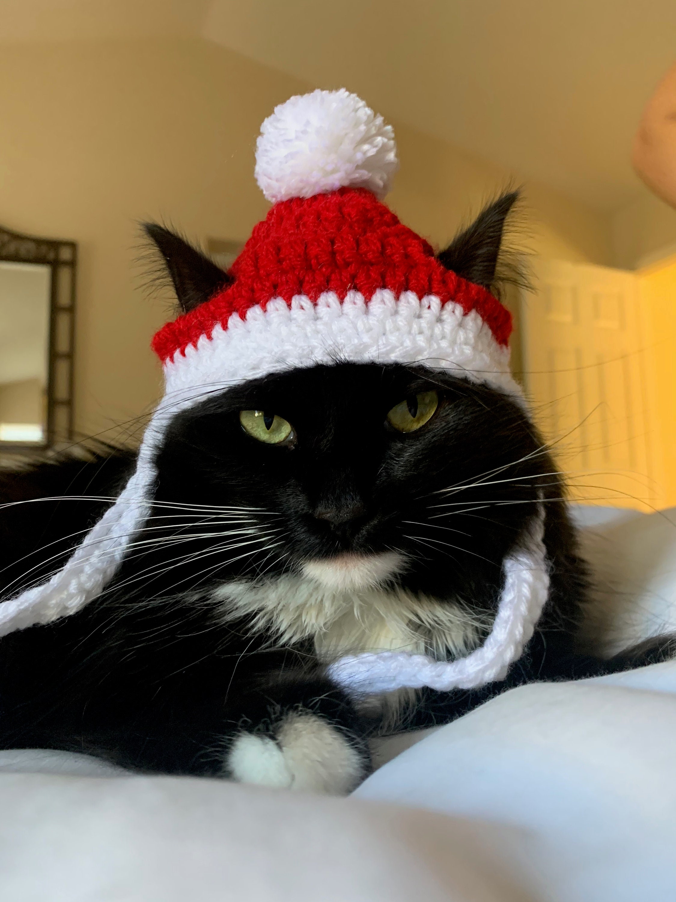 Crochet Pattern Christmas Cat Hat Beginner Friendly Santa Etsy
