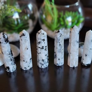 Puede incluir: Seis puntas de cristal de piedra lunar arcoíris blancas y negras, también conocidas como piedra lunar negra, dispuestas en fila sobre una superficie oscura.