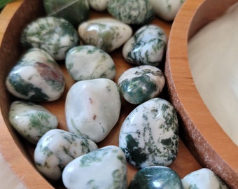 Tree Agate Tumbled Stone, Pocket Stone