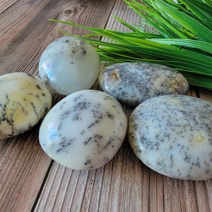 Dendritic Opal Palm Stone, Merlinite Palm Stone, Smooth Merlinite/Dendritic Opal