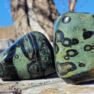 Kambaba Jasper Freeform, Kambaba Jasper Palm Stone, Tumbled Kambaba Jasper, Extra Large Kambaba Jasper