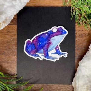 Galaxy Frog-sticker – handgetekende inkt en aquarelontwerp uit de Nocturnal Creatures-collectie