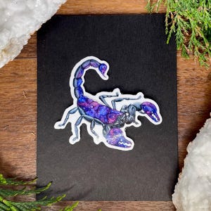 Galaxy Scorpion-sticker – handgetekende inkt en aquarelontwerp uit de Nocturnal Creatures-collectie