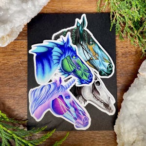 Fantasy Horse Anatomy Sticker Set – 4 Hand-Drawn Mythical Creature Stickers