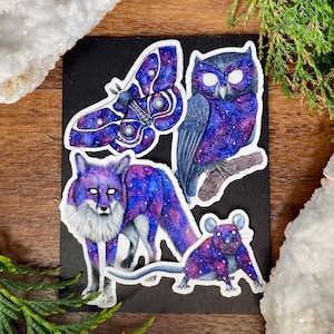 Stickerset Nocturnal Creatures – Kies 4 aangepaste stickers – ontwerpen met inkt en aquarel