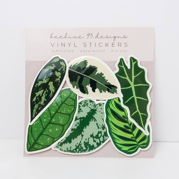 Houseplant Vinyl Sticker Packs Etsy