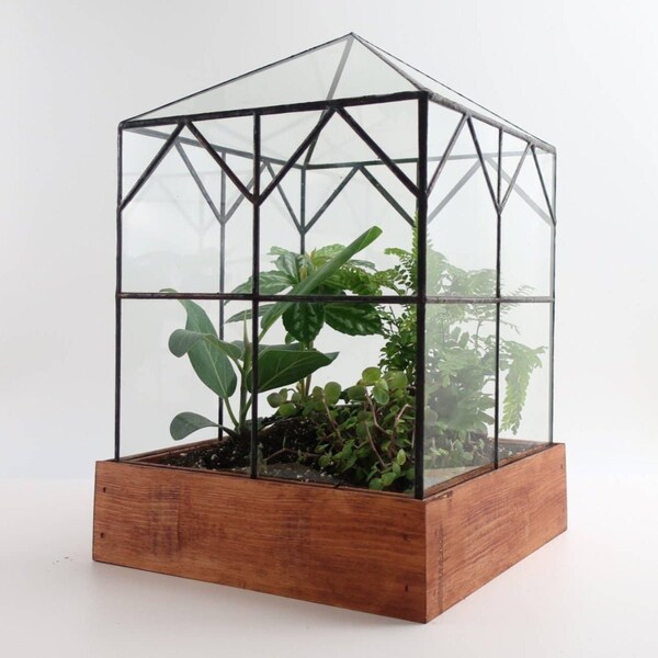 Square Terrarium Etsy
