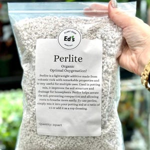 Organic Perlite: Lightweight Substrate For Houseplants