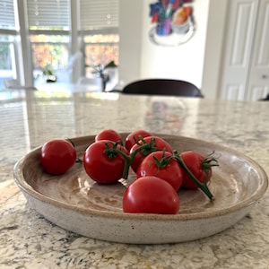 May include: A ceramic bowl with a speckled, light brown finish holds several ripe, red tomatoes with green stems. The bowl sits on a light-colored countertop, with a blurred background of a kitchen.