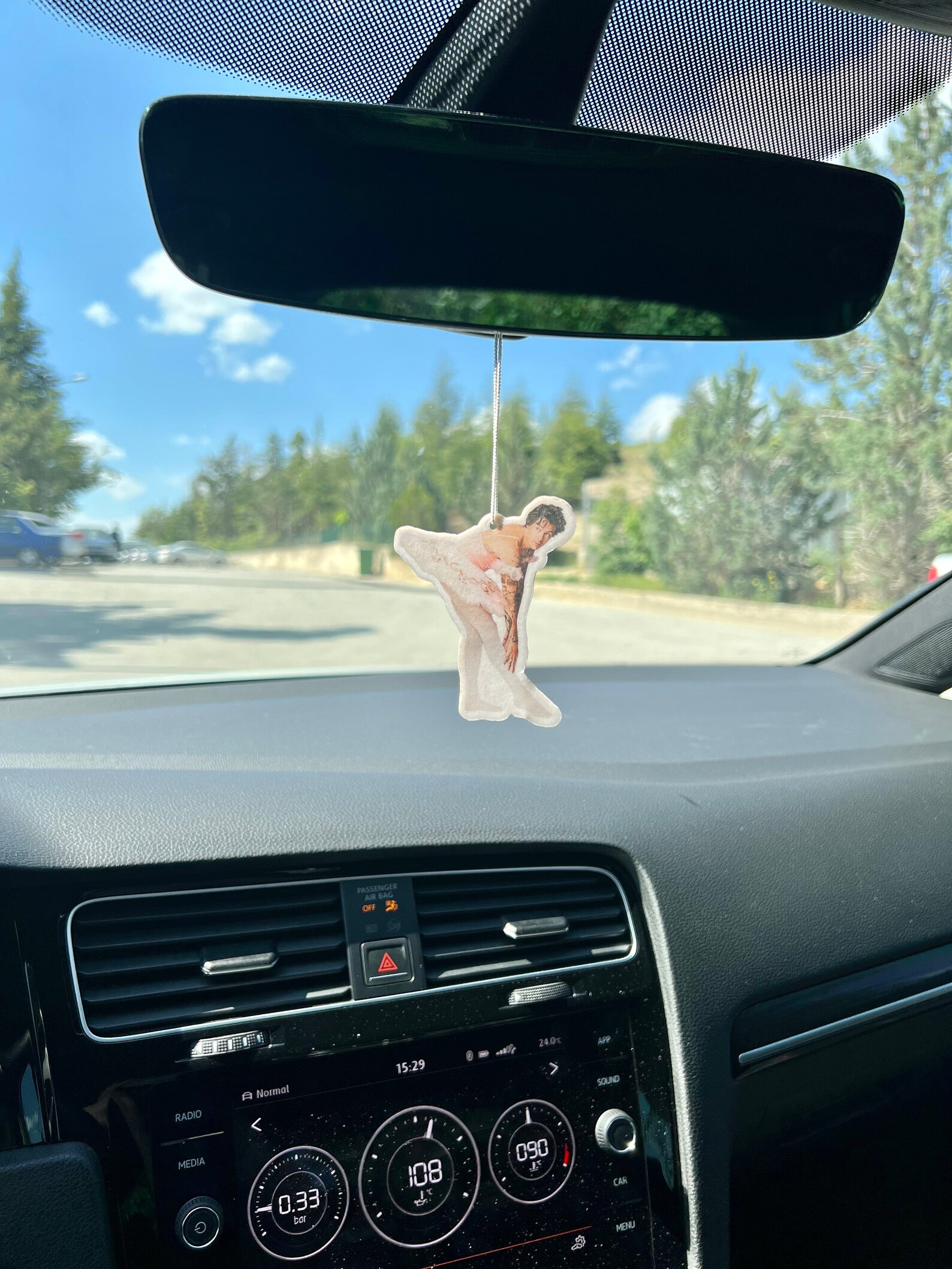 Harry Styles Air Freshener Car Ballerina MULTI PACK Etsy