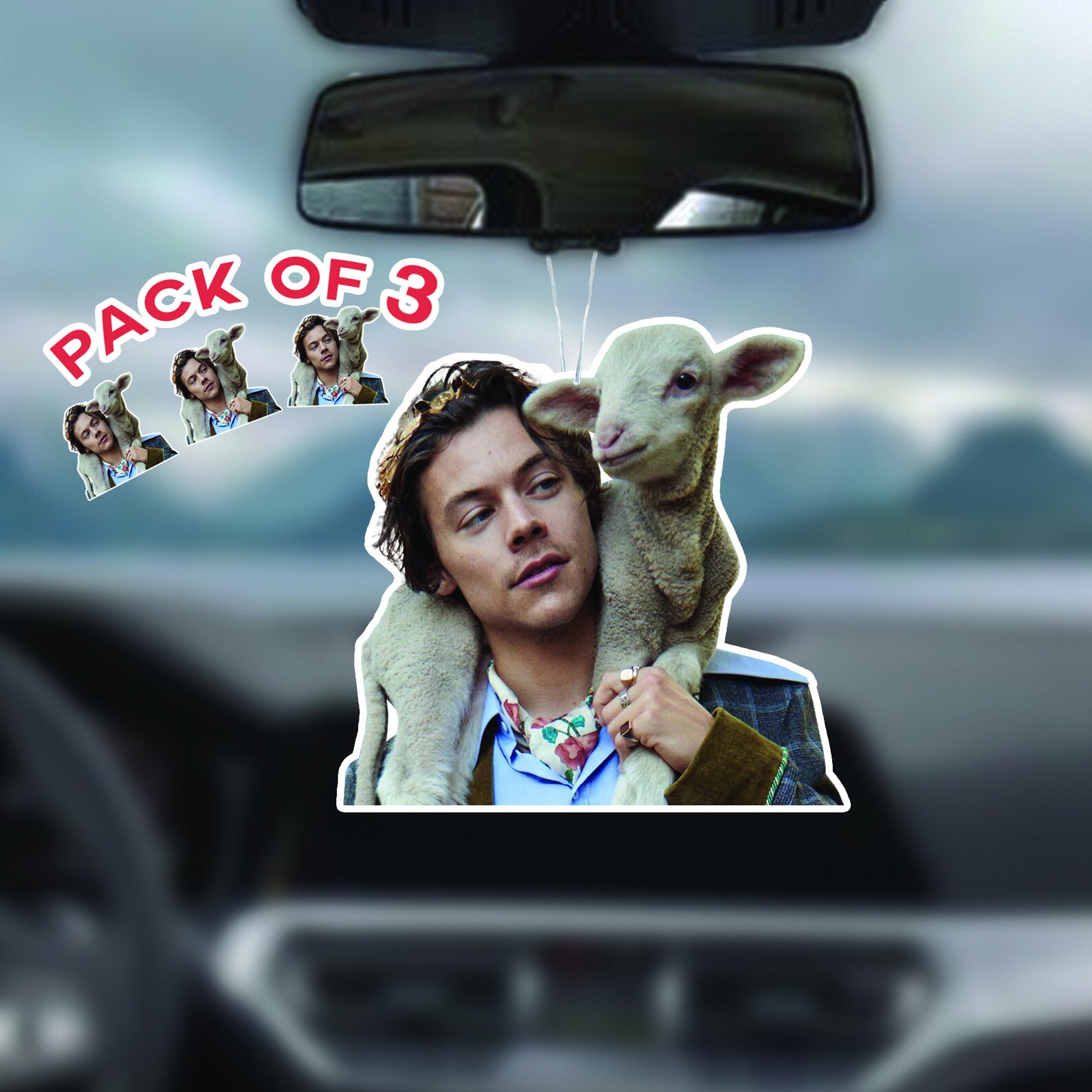 Harry Styles Air Freshener Jesus Lamb Etsy Australia
