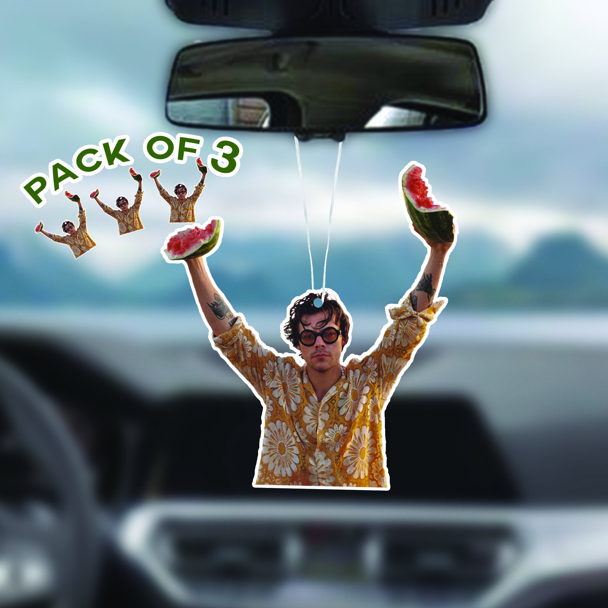 Harry Styles Air Freshener Car Watermelon Sugar Etsy