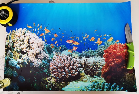 Aquarium Plant Background Poster For Fish Tank Underwater