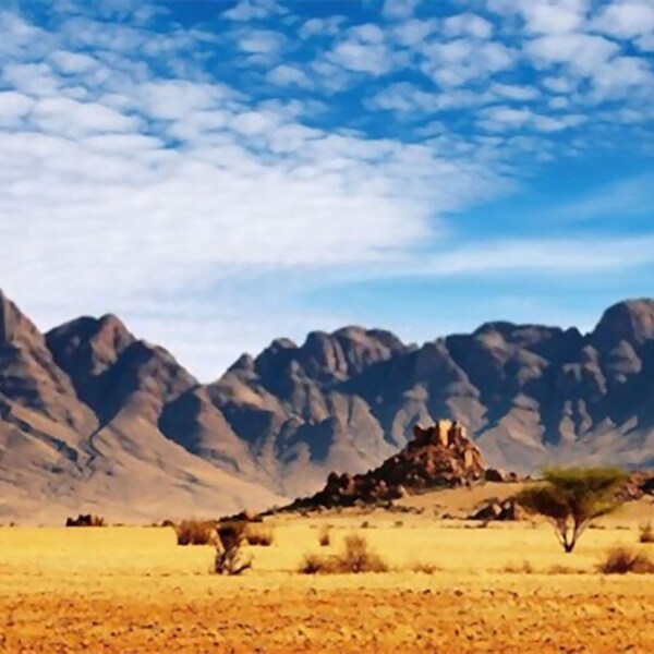 Fish Tank Mountains Etsy