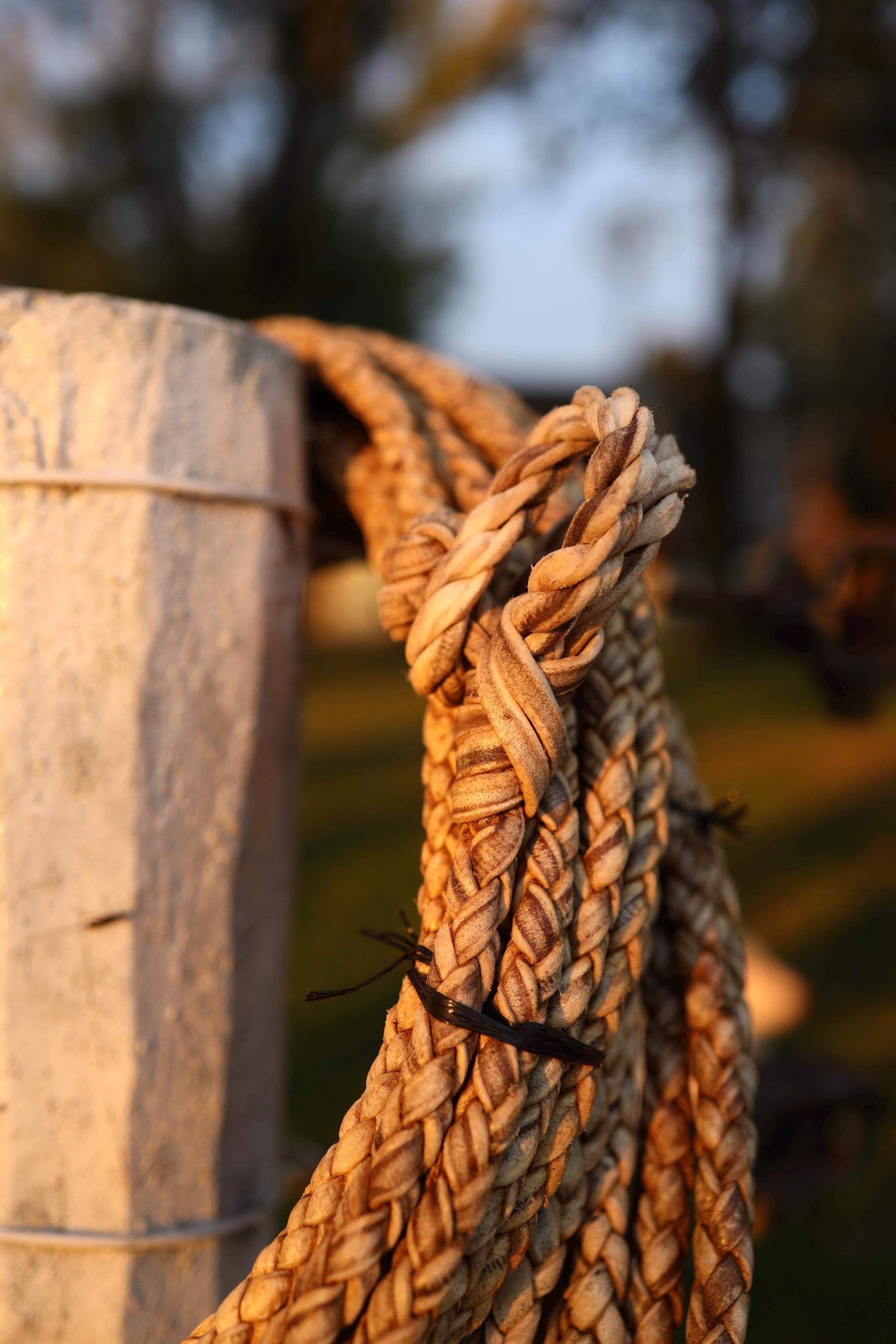 Argentine Rawhide Lasso Hand-braided | Gaucho Lariat | Ranch Rope ...