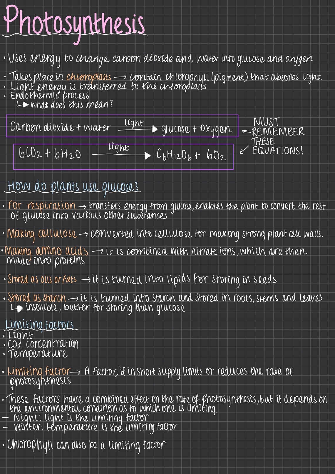 GCSE BIOLOGY NOTES : Photosynthesis Revision Notes - Etsy