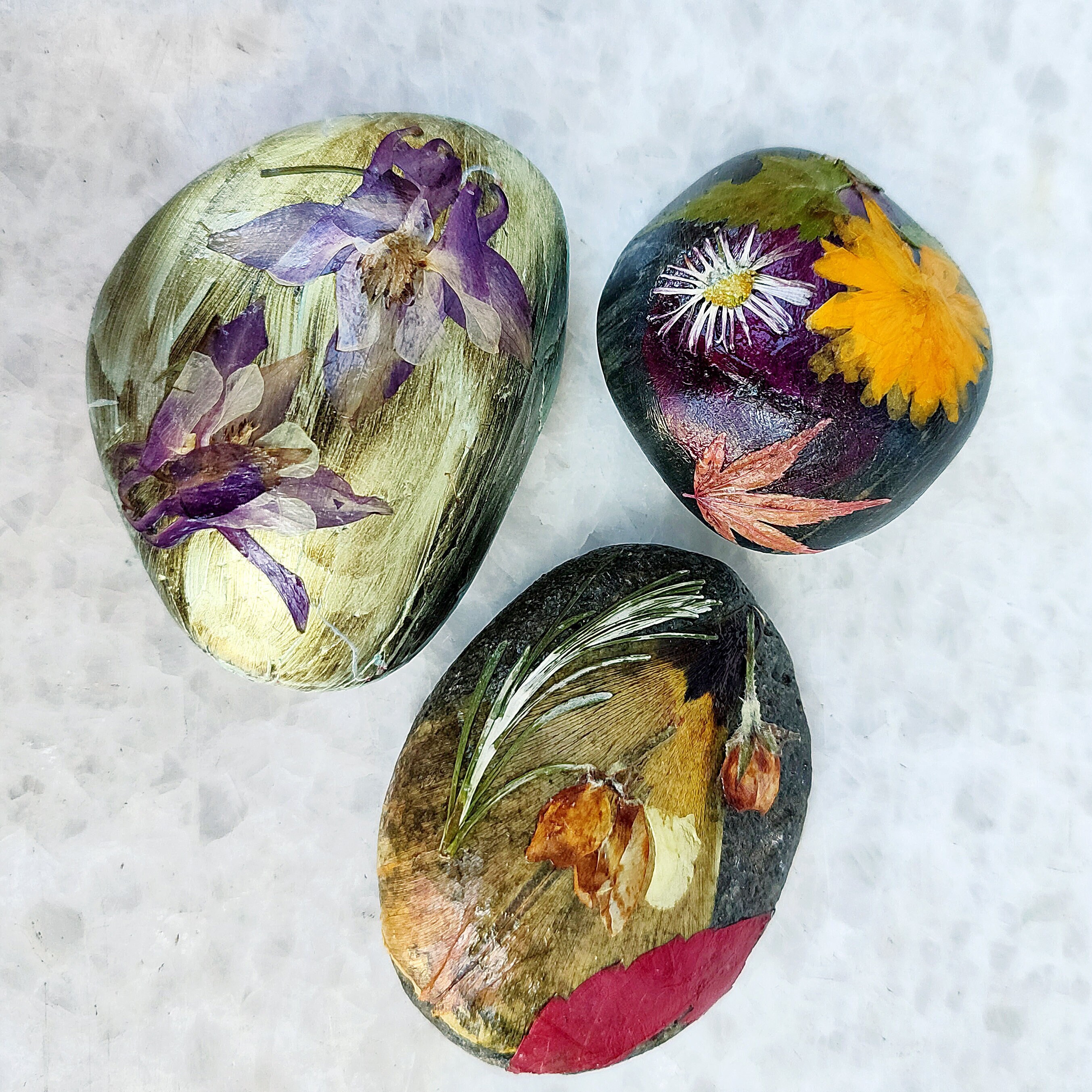 Pressed Flower Rock Paperweights. Home Decor. Herbarium Ornaments