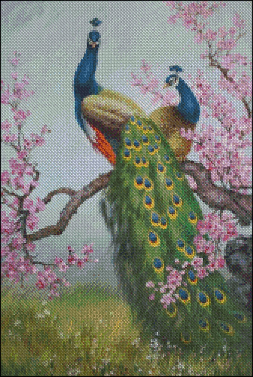 CA168250002 Peacock Collection 4 Counted Cross Stitch Etsy