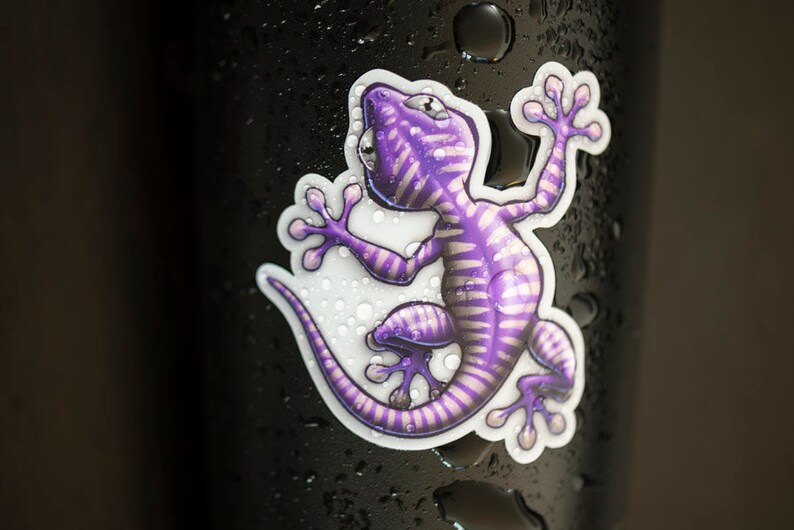 K&ouml;nnte beinhalten: Ein lila-wei&szlig;er Gecko-Aufkleber mit wei&szlig;em Hintergrund. Der Gecko befindet sich in einer Kletterpose mit dem Schwanz um seinen K&ouml;rper gewickelt. Der Aufkleber befindet sich auf einer schwarzen Oberfl&auml;che mit Wassertropfen.
