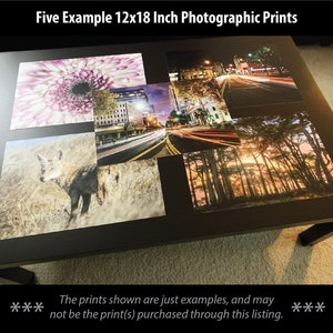 May include: Five example 12x18 inch photographic prints displayed on a black table. The prints feature a variety of subjects, including a flower, a coyote, a city street at night, and a forest.