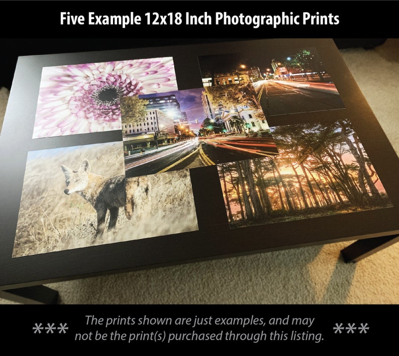 May include: Five example 12x18 inch photographic prints displayed on a black table. The prints feature a variety of subjects, including a flower, a coyote, a city street at night, and a forest.
