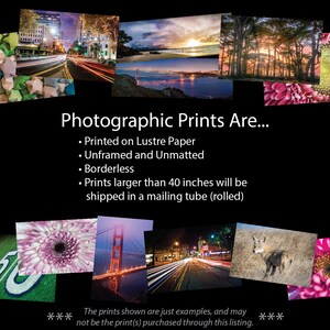 May include: A collage of images showcasing photographic prints. The text reads "Photographic Prints Are... Printed on Lustre Paper, Unframed and Unmatted, Borderless, Prints larger than 40 inches will be shipped in a mailing tube (rolled). The prints shown are just examples, and may not be the print(s) purchased through this listing."